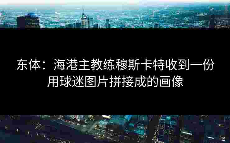 东体：海港主教练穆斯卡特收到一份用球迷图片拼接成的画像