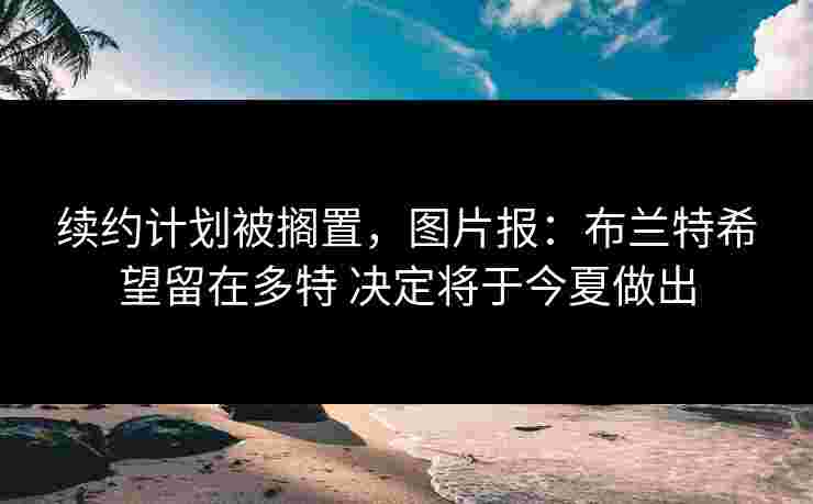 续约计划被搁置,图片报:布兰特希望留在多特 决定将于今夏做出 续约计划被搁置,图片报:布兰特希望留在多特 决定将于今夏做出